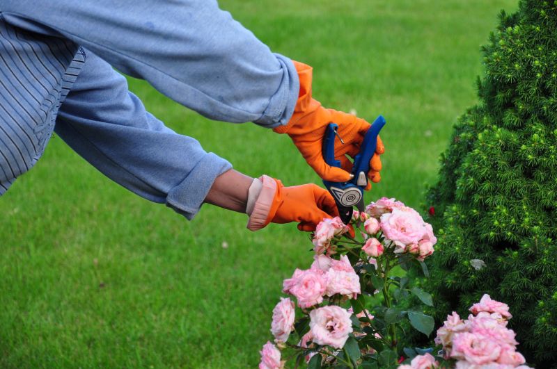 Rose Pruning Service