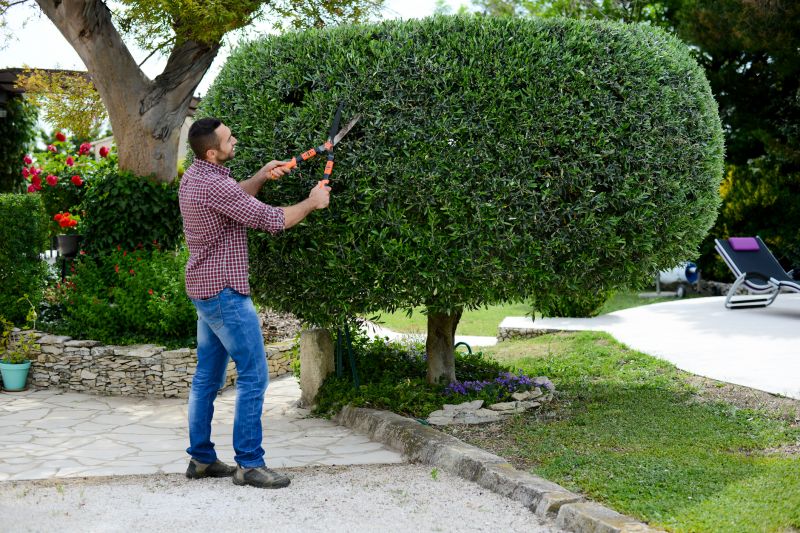 Expert Pruning Technique