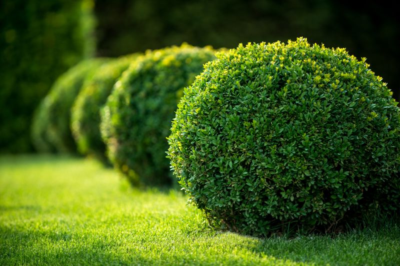 Well-Shaped Bushes