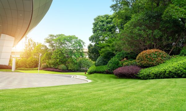 Commercial Shrub Trimming in Battle Ground