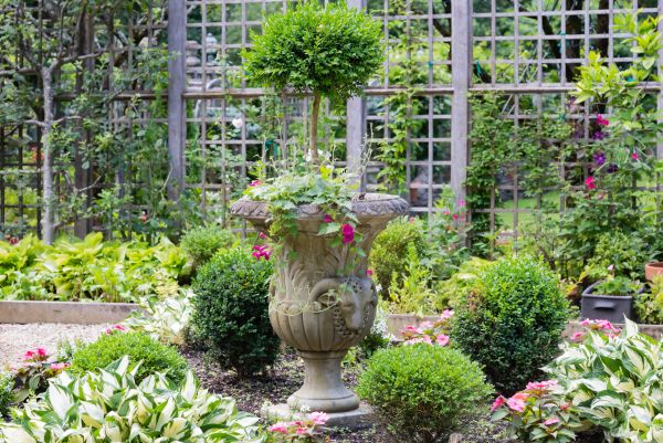 Cost of Topiary Pruning in Battle Ground