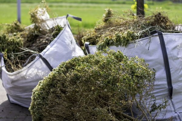 Shrubs Removal in Battle Ground