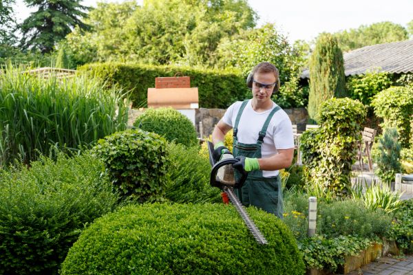 Shrubs Trimming in Battle Ground