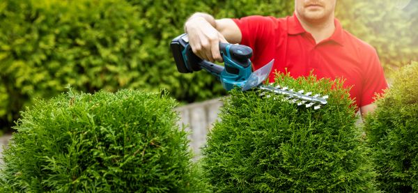 Cost of Hedge Shaping Service in Battle Ground